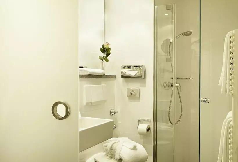 اتاق استاندارد, Stadt Freiburg