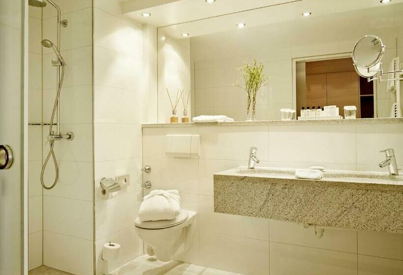 חדר סופריור, Stadt Freiburg