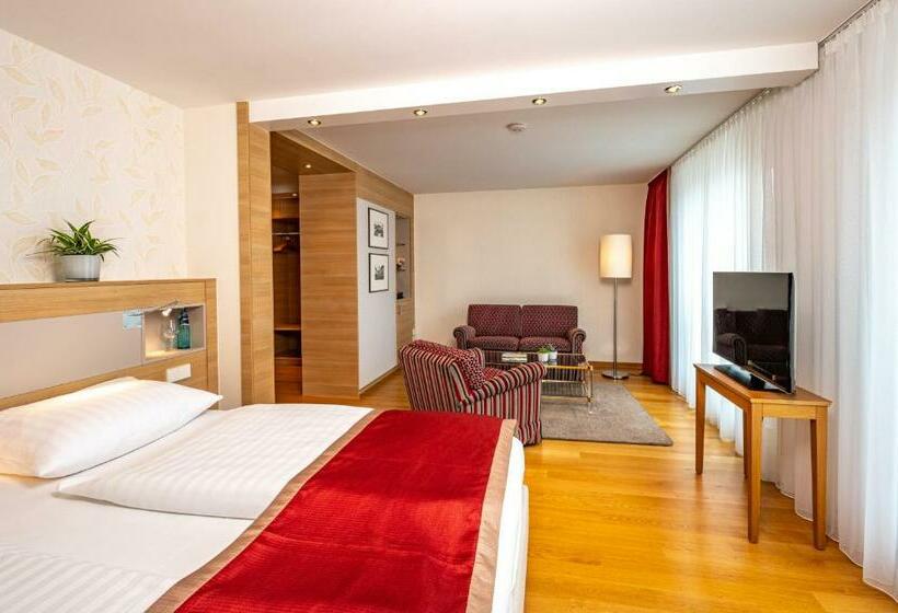 Номер Superior, Stadt Freiburg