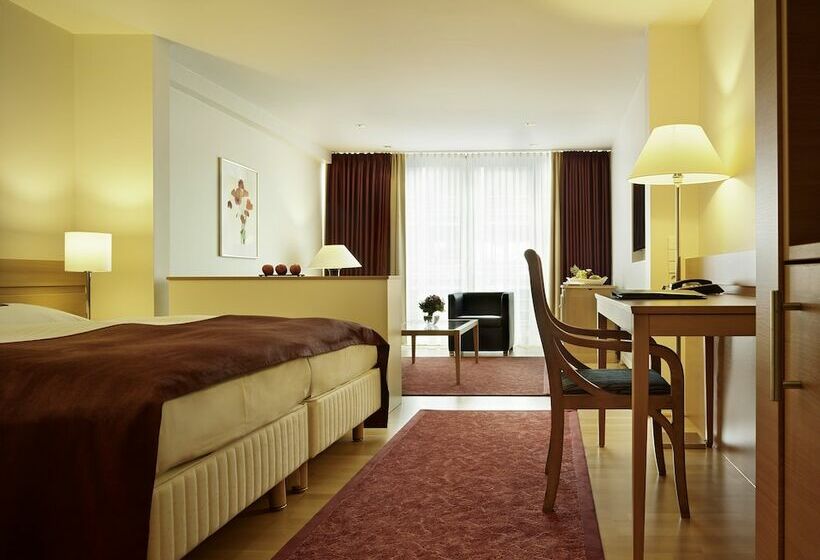 חדר סופריור, Stadt Freiburg