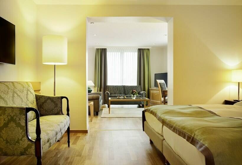 סוויטת ג'וניור, Stadt Freiburg