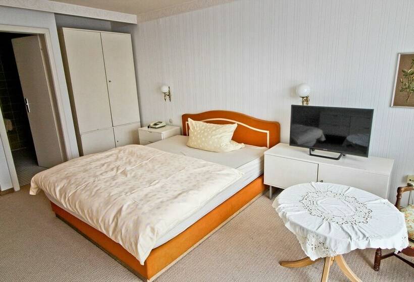 חדר קומפורט יחיד, Waldhotel Stein