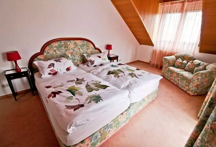 コンフォートシングルルーム, Waldhotel Stein