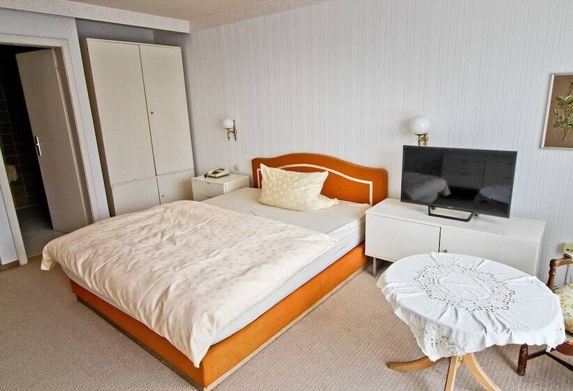 חדר קומפורט יחיד, Waldhotel Stein