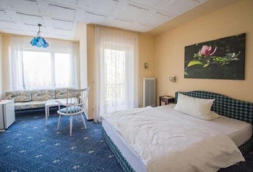 小型套房, Waldhotel Stein