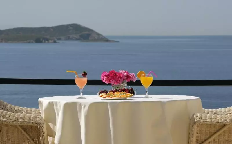 اتاق اساندارد با چشم‌انداز جانبی به دریا, Andros Holiday