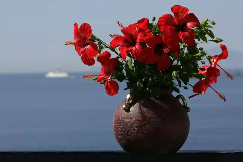 اتاق اساندارد با چشم‌انداز جانبی به دریا, Andros Holiday