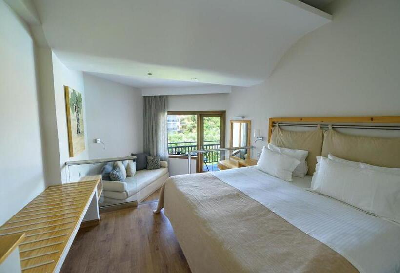 수피리어 룸, Europa Olympia