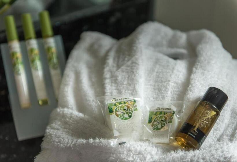 اتاق سوپریور, Zante Park Resort & Spa, Bw Premier Collection