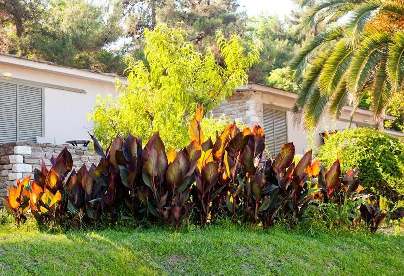 スーペリアールーム, Makryammos Bungalows