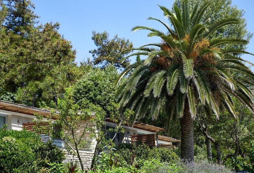 デラックスルーム, Makryammos Bungalows