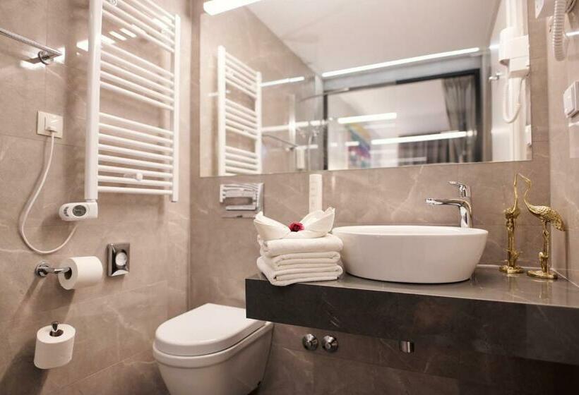 Номер Стандарт Индивидуальный, Paris