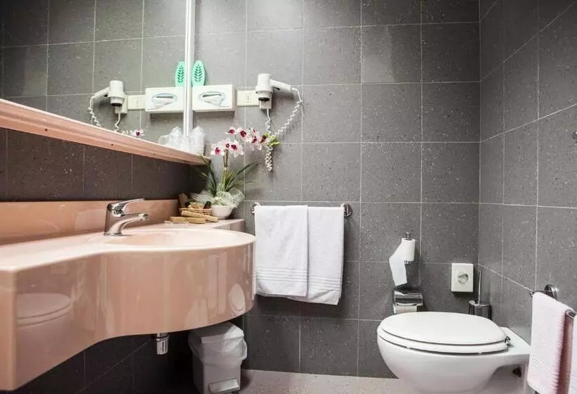 Standard Yhden Hengen Huone, Alexander