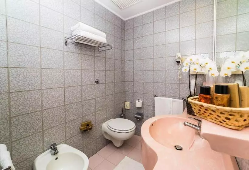 Standard Yhden Hengen Huone, Alexander