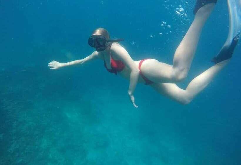 اتاق لوکس, Ci  Ritorno View