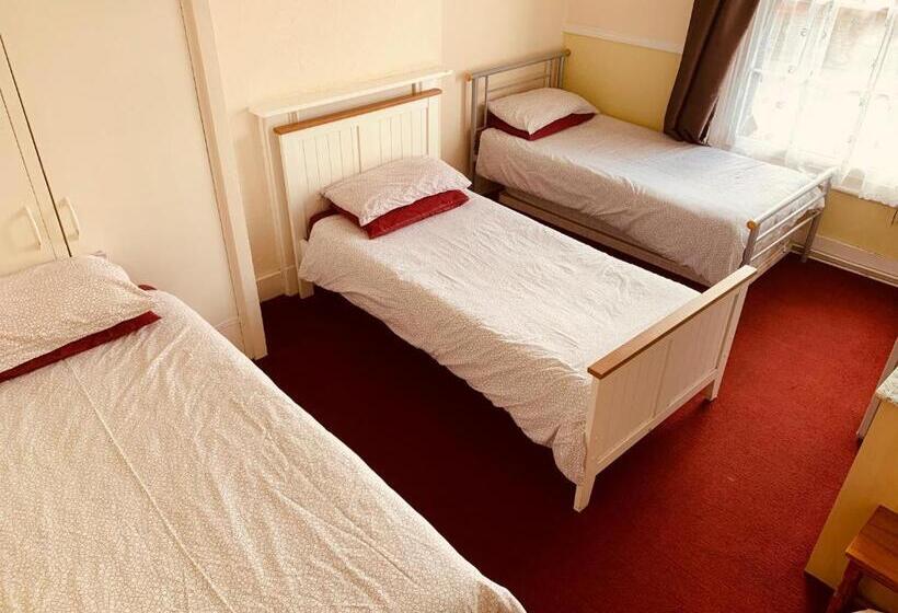 Трехместный Номер Стандарт Совместная Ванная, The Lion Brewery