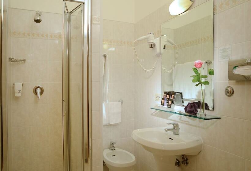 اتاق استاندارد, Best Western Hotel Rome Airport