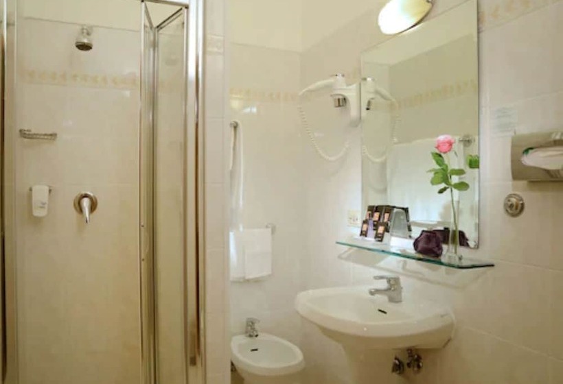 اتاق استاندارد, Best Western Hotel Rome Airport