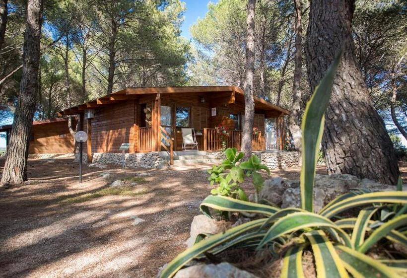 בית, חדר שינה 1, Tenuta Del Barco