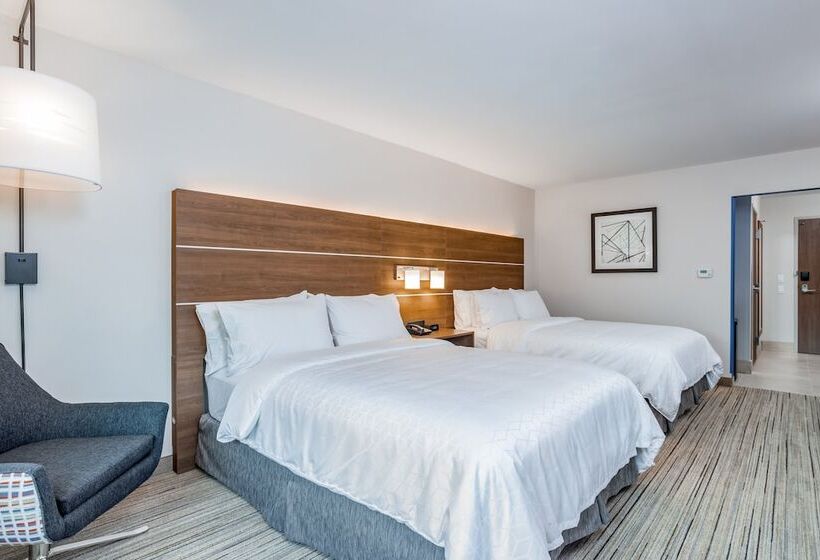 适合残疾人士使用的套间, Holiday Inn Express & Suites Elkhart North By Ihg