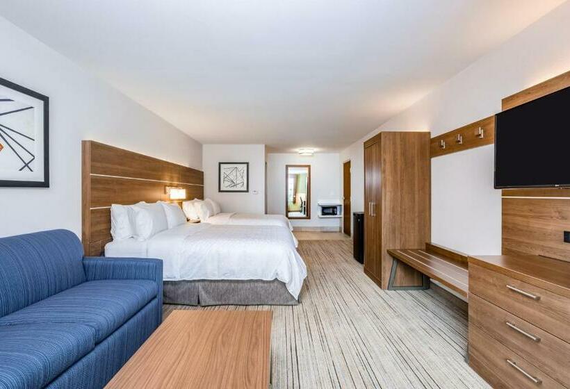 套房, Holiday Inn Express & Suites Elkhart North By Ihg