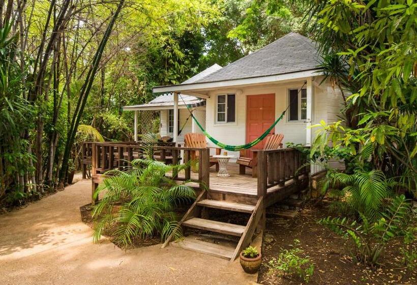 بانگلوی استاندارد, Samsara Cliff Resort