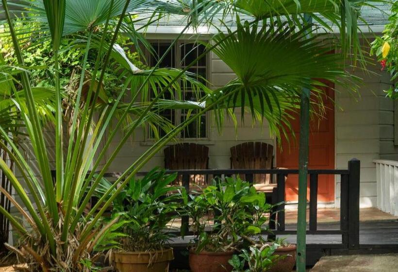 سوئیت جونیور با چشمانداز باغ, Samsara Cliff Resort