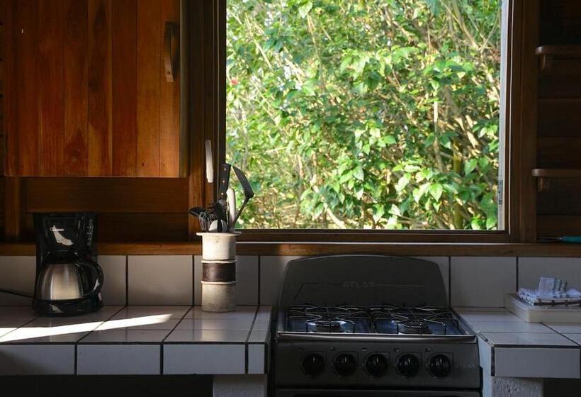 Дом 1 Спальня, Calamocha Lodge