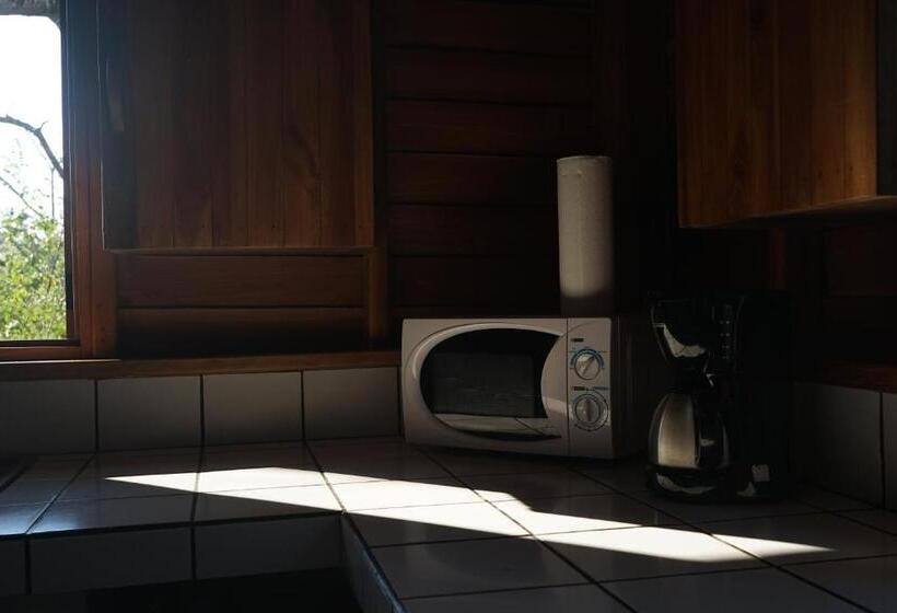 Дом 1 Спальня, Calamocha Lodge