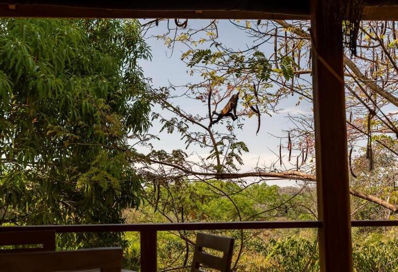 Вилла 1 Спальня, Calamocha Lodge