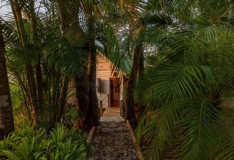 Люкс Кровать Кинг, Calamocha Lodge