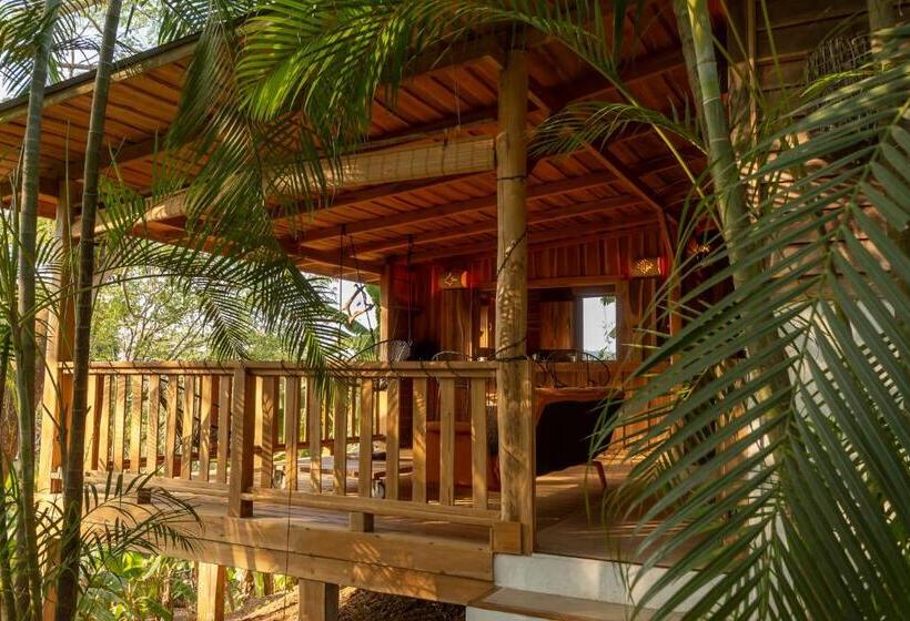 Дом 1 Спальня, Calamocha Lodge