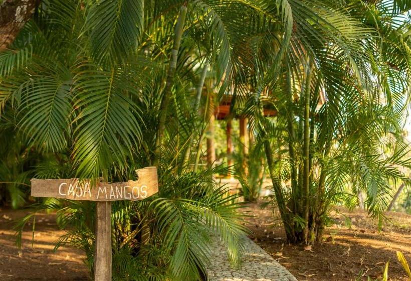 וילה בת חדר שינה 1, Calamocha Lodge