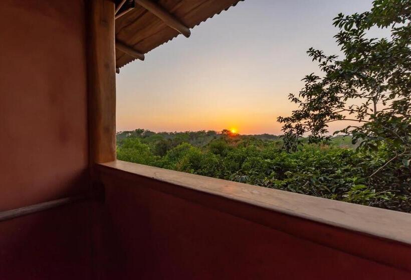 מיטת קינג בסוויטה, Calamocha Lodge