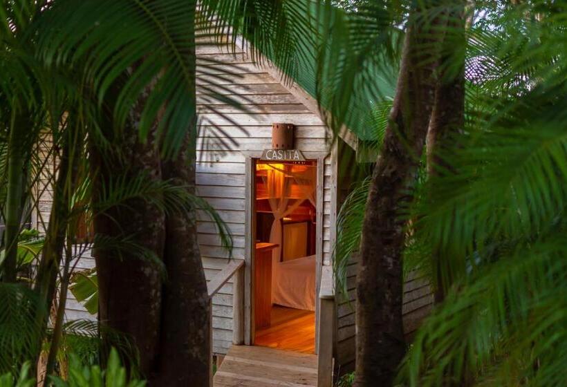 스위트 킹사이즈 침대, Calamocha Lodge
