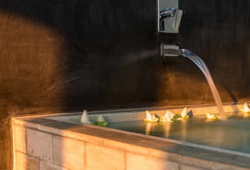 جناح ديلوكس, Ung D