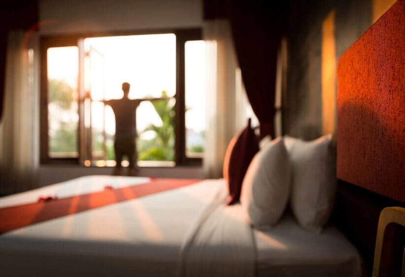 جناح ديلوكس, Ung D