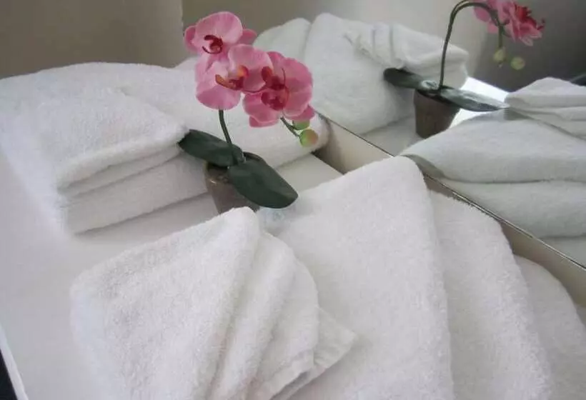 Standard-studio, Camellia Court Motel