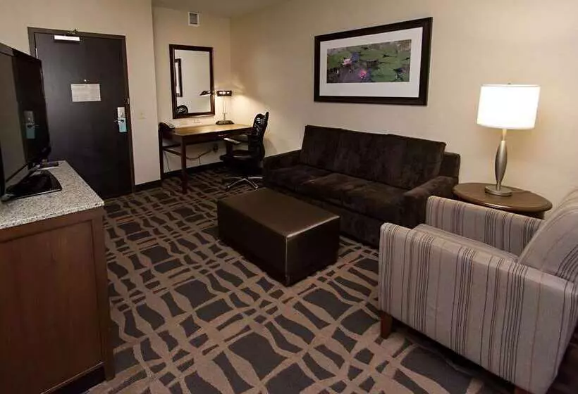 Suite King Bed, Doubletree By Hilton Royal Parc Soestduinen