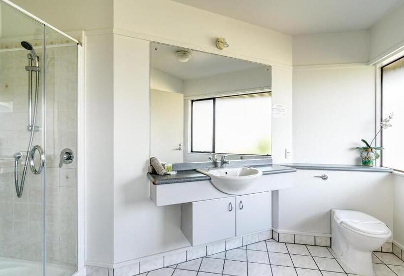 إستوديو قياسى, The Beachcomber