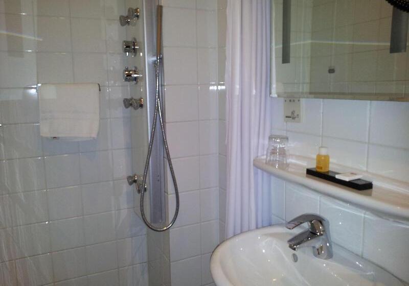 غرفة قياسية فردية, The Concert