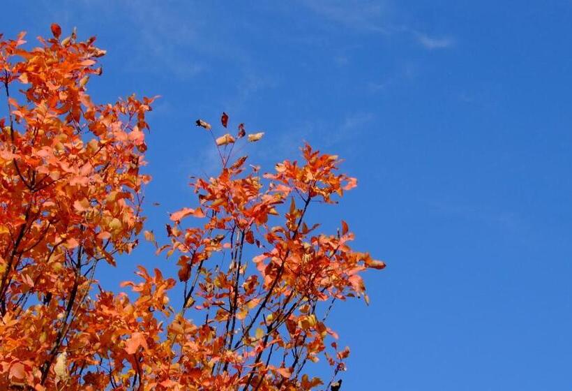 침실 1개 디럭스 아파트, Artsistas Houses