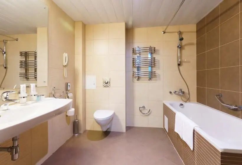 1ベッドルームアパートメント, Victoria Hotel Vyborg