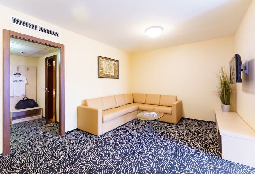 آپارتمان 1 خوابه, Victoria Hotel Vyborg