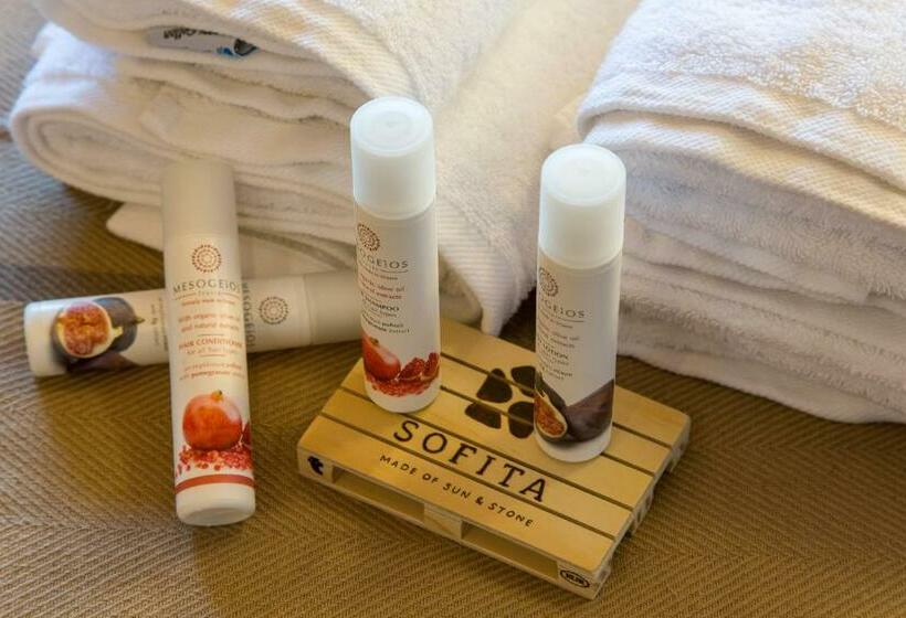 Апартаменты 1 Спальня с Балконом, Sofita