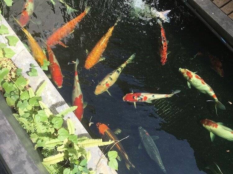 豪华房间, Phetcharat Grand Hotel Maesot