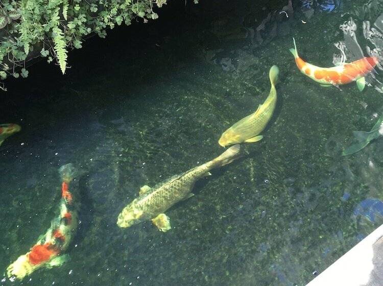 豪华房间, Phetcharat Grand Hotel Maesot