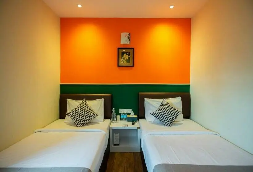 Habitació Estàndard, Link