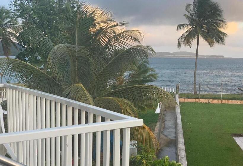 패밀리 스위트, Hôtel Douce Vague