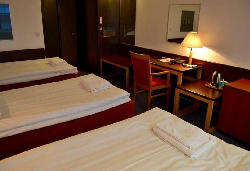 חדר סטנדרט לשלושה, Li Sodankylä